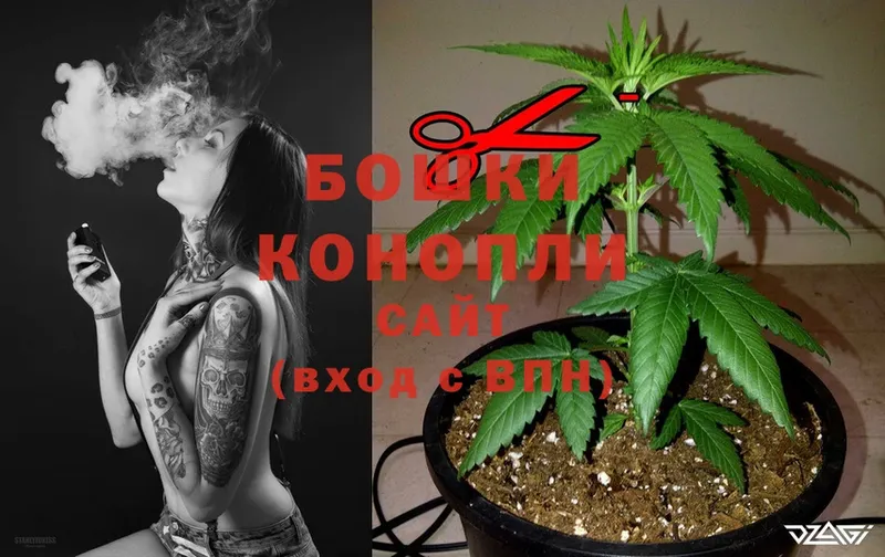 купить закладку  Бикин  Каннабис OG Kush 